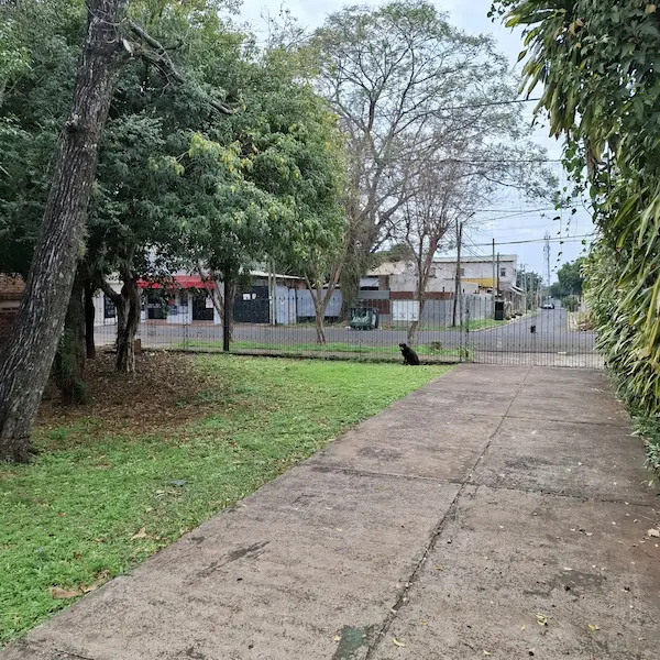 Oportunidad ideal para desarrollo o inversión, Posadas - Foto 4